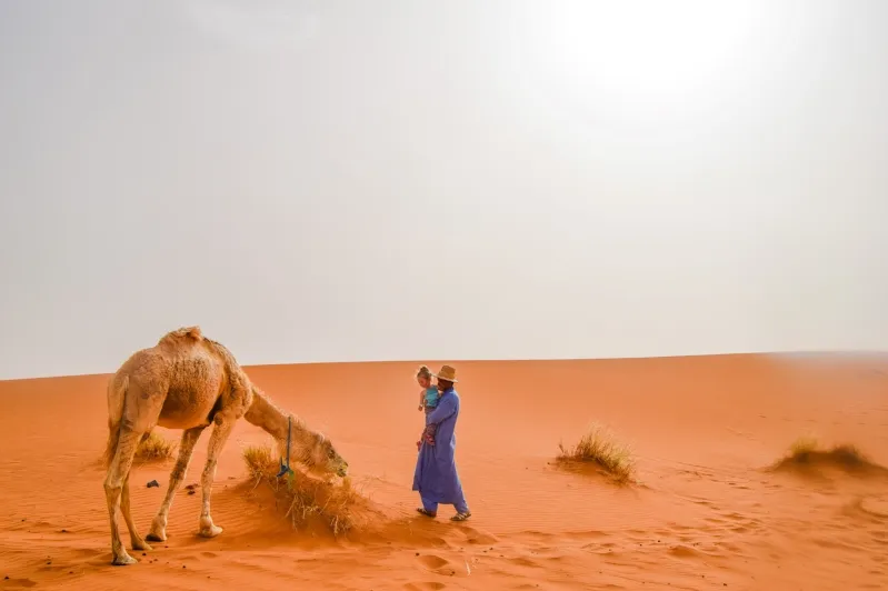 A woman in a blue dress stands beside a camel, representing a travel agent morocco . 