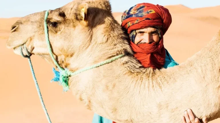 A man in a red scarf stands holding a camel, representing Moroccan culture and tradition.