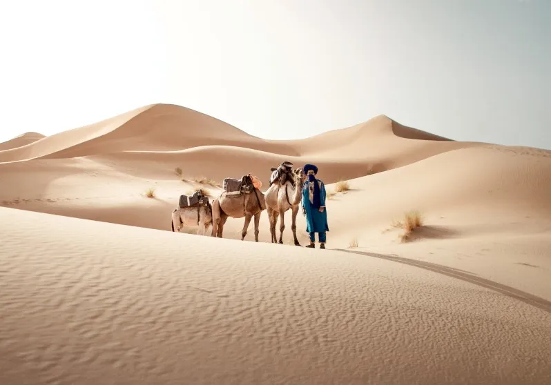  A man stands beside his camels in the Moroccan desert, showcasing a travel experience in a vast sandy landscape.