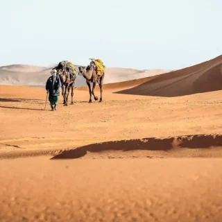 15-day Morocco tour from Agadir through the Imperial Cities and Sahara Desert