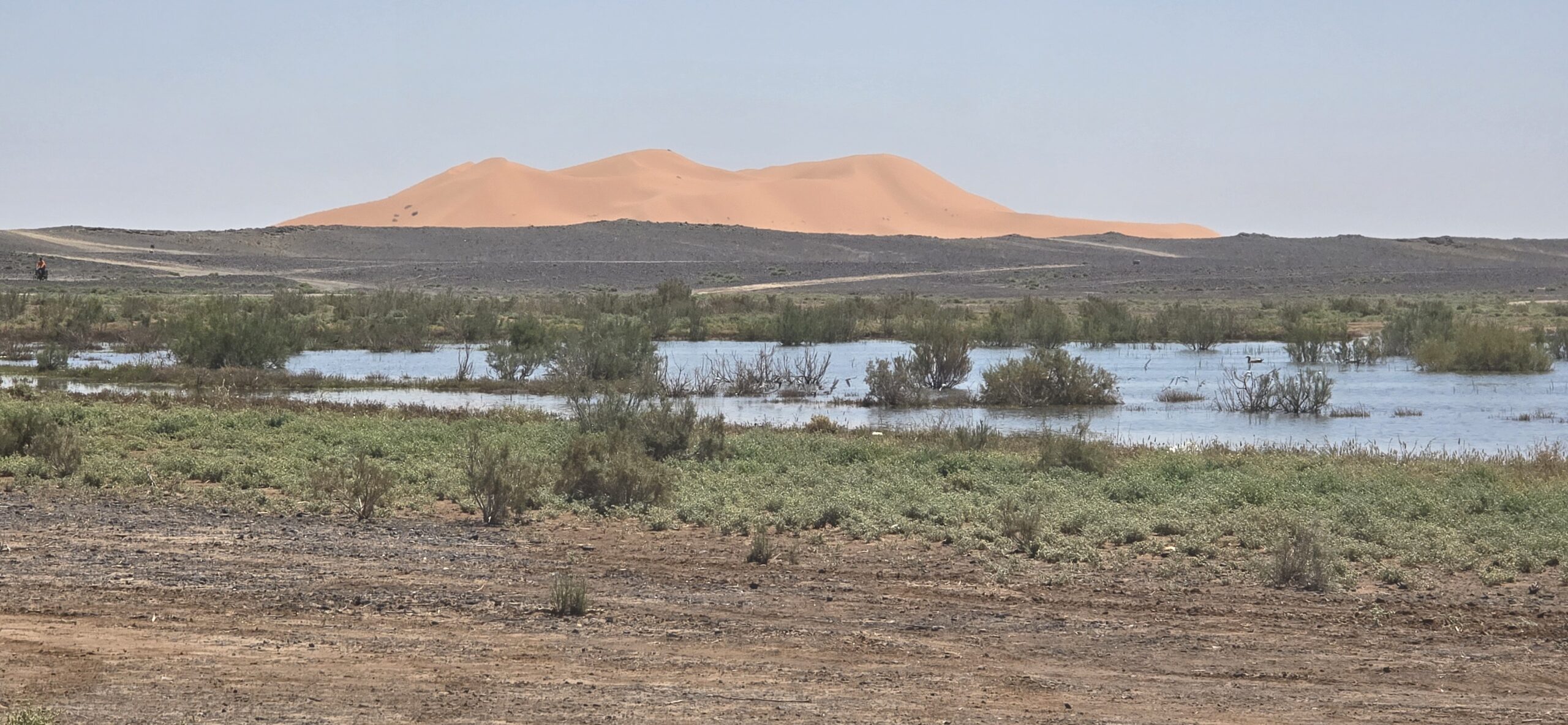 2 days tours from fes to merzouga