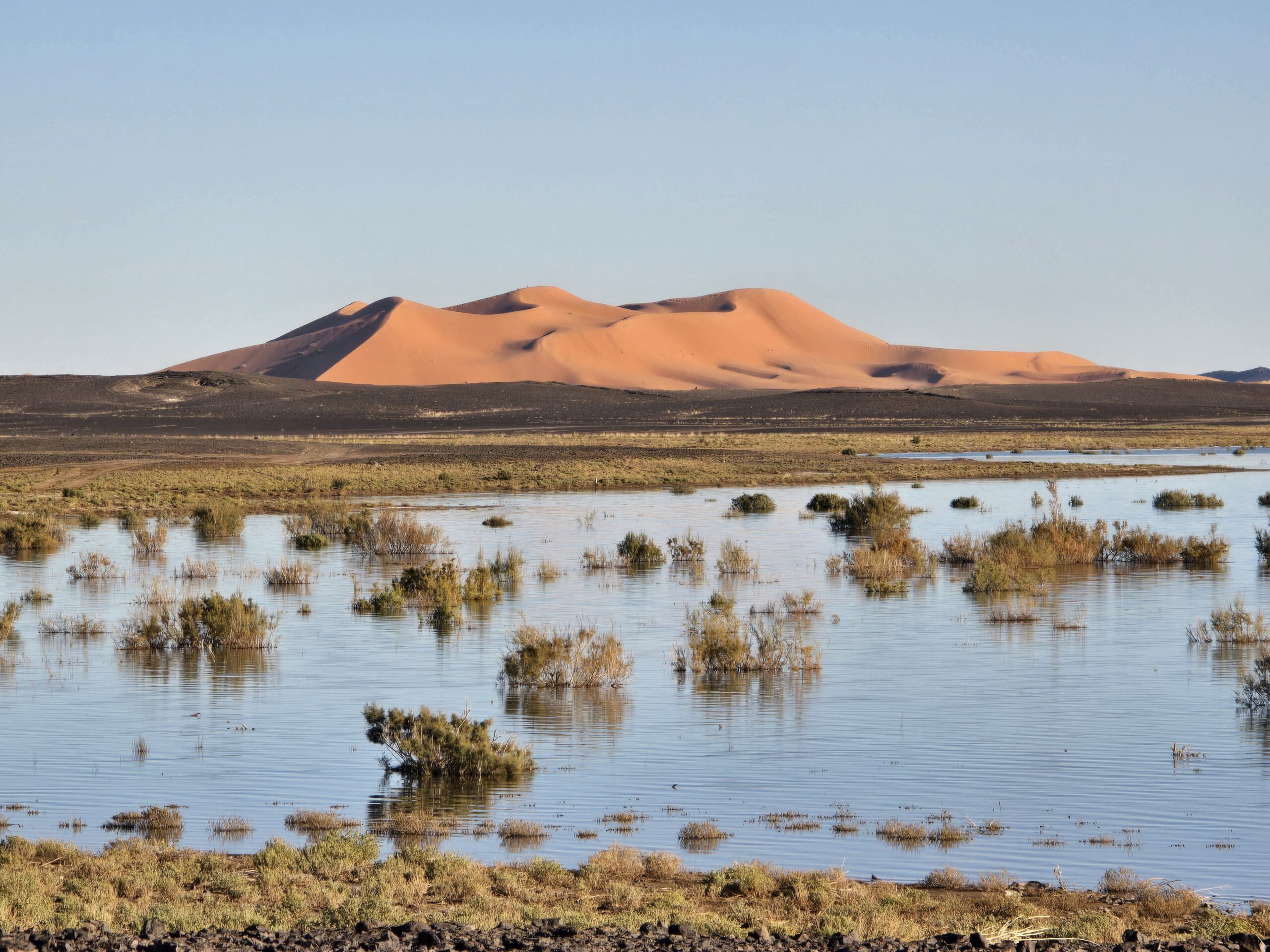 7-Day Casablanca to Desert & Imperial Cities Tour