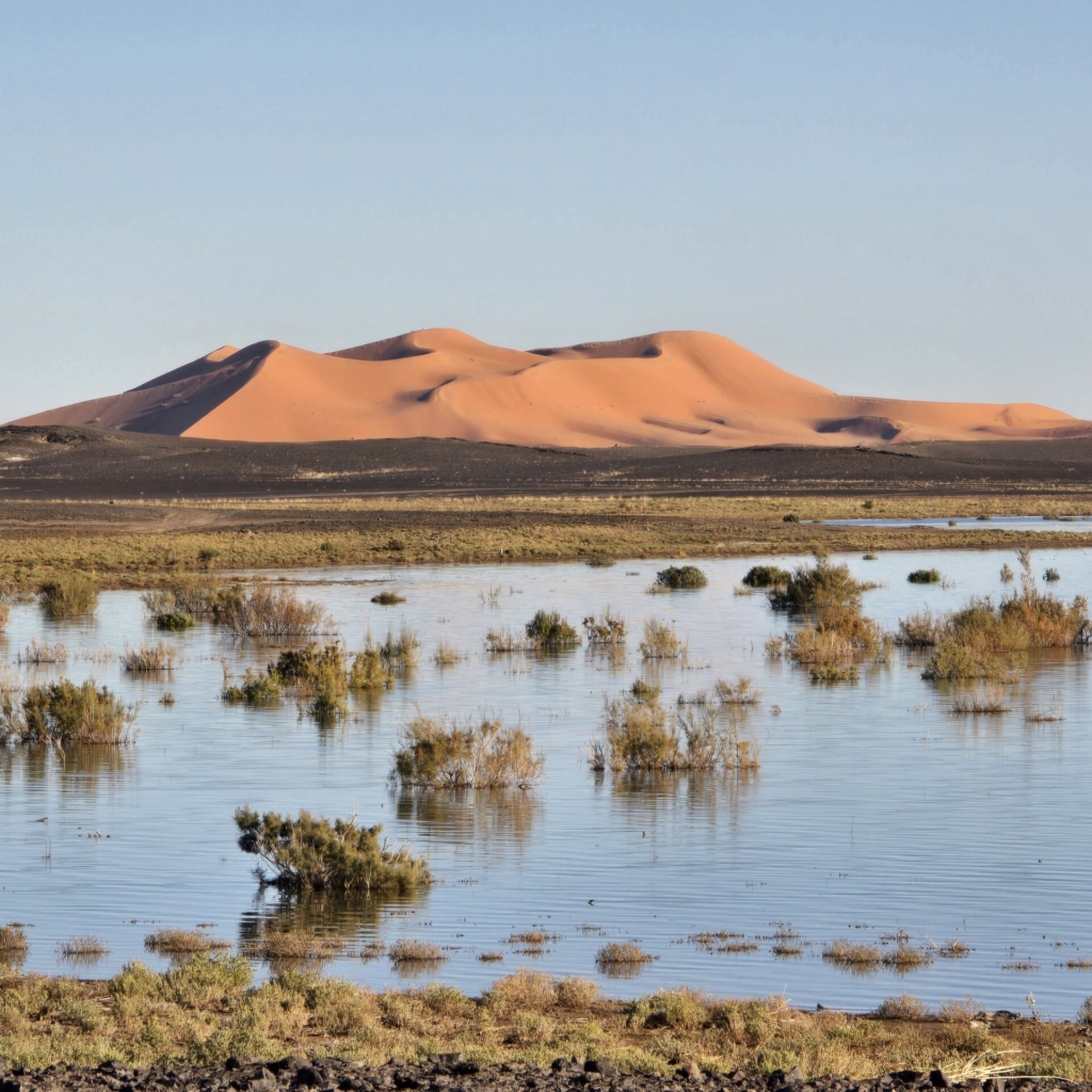 Morocco Tour From Casablanca