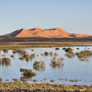 Travelers on a 7-day Morocco tour from Casablanca visiting imperial cities, the Sahara Desert, camel trekking, and the Atlas Mountains
