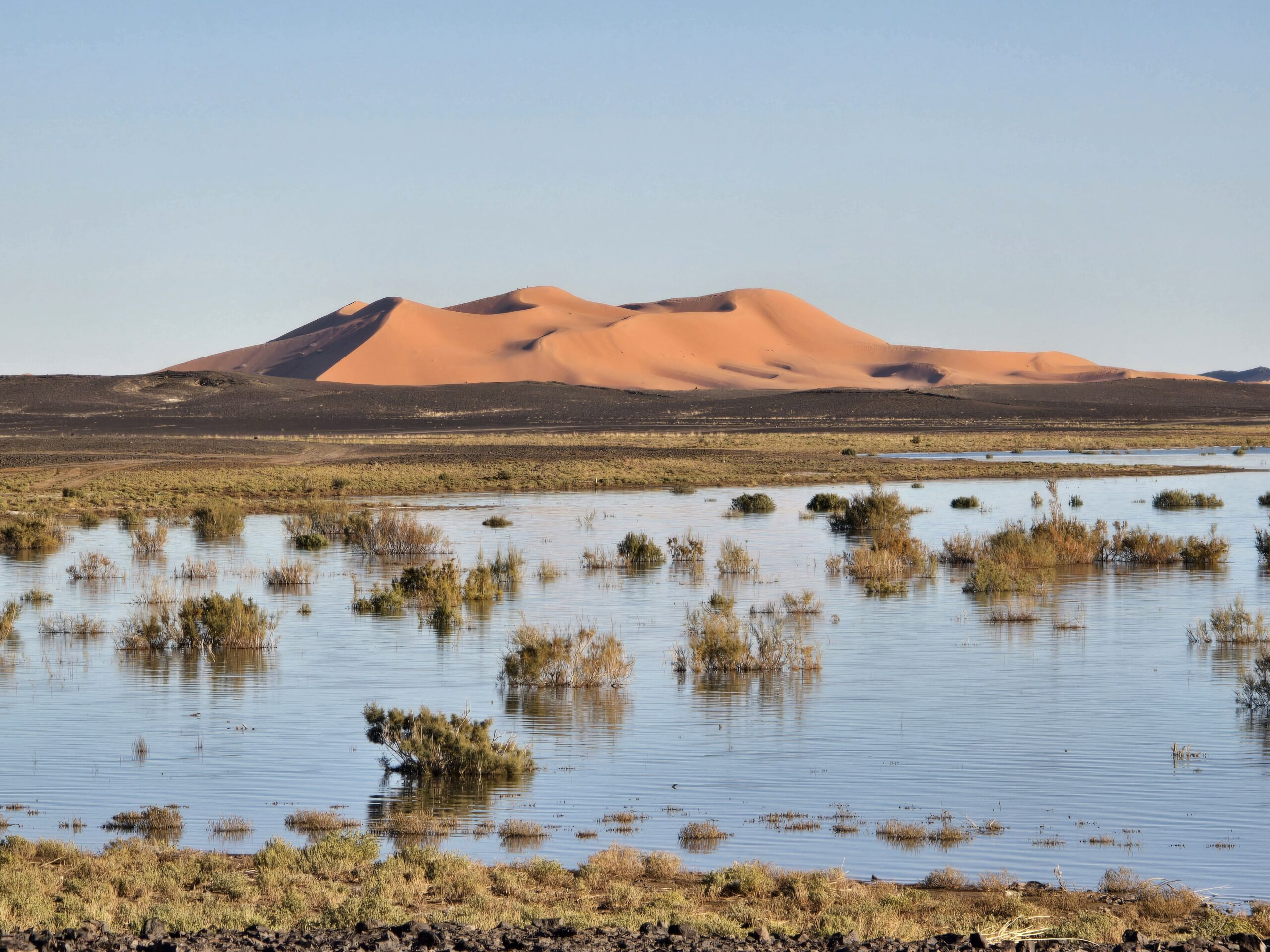 7-Day Casablanca to Desert & Imperial Cities Tour