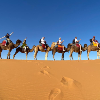8-day Morocco tour from Marrakech including Sahara Desert, Atlas Mountains, Fes, and coastal cities