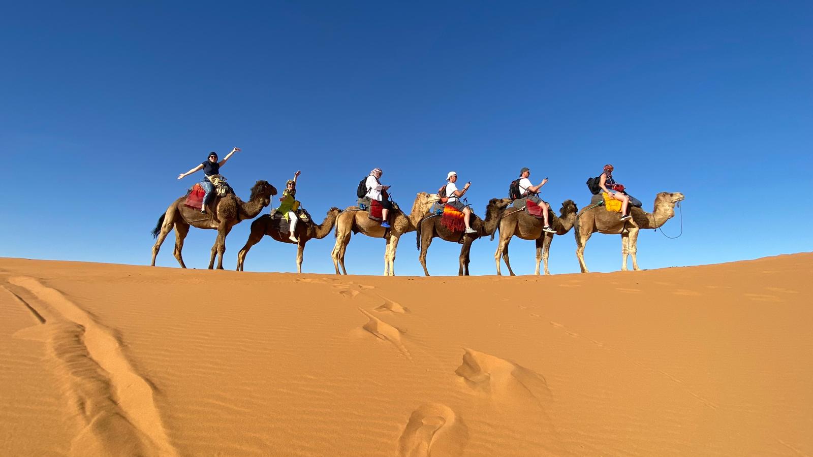 8 days Morocco imperial cities tour from Marrakech Marrakech to Morocco imperial cities 8 day tour Morocco imperial cities tour 8 days itinerary 8 day Morocco tour Marrakech Fes Casablanca Rabat Morocco cultural and imperial cities tour 8 days