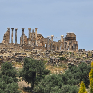 Fes to Meknes and Volubilis day trip Meknes and Volubilis tour from Fes Morocco day trips from Fes Fes Morocco tours Volubilis guided tour Morocco Meknes imperial city tour private tour Fes to Meknes visit Volubilis from Fes Morocco historical tour Meknes sightseeing tour UNESCO sites Morocco tour Morocco travel from Fes