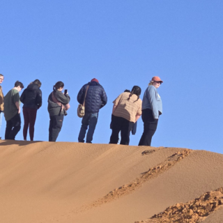 Students riding camels across the Sahara Desert during an educational Morocco tour, experiencing Berber culture and desert landscapes