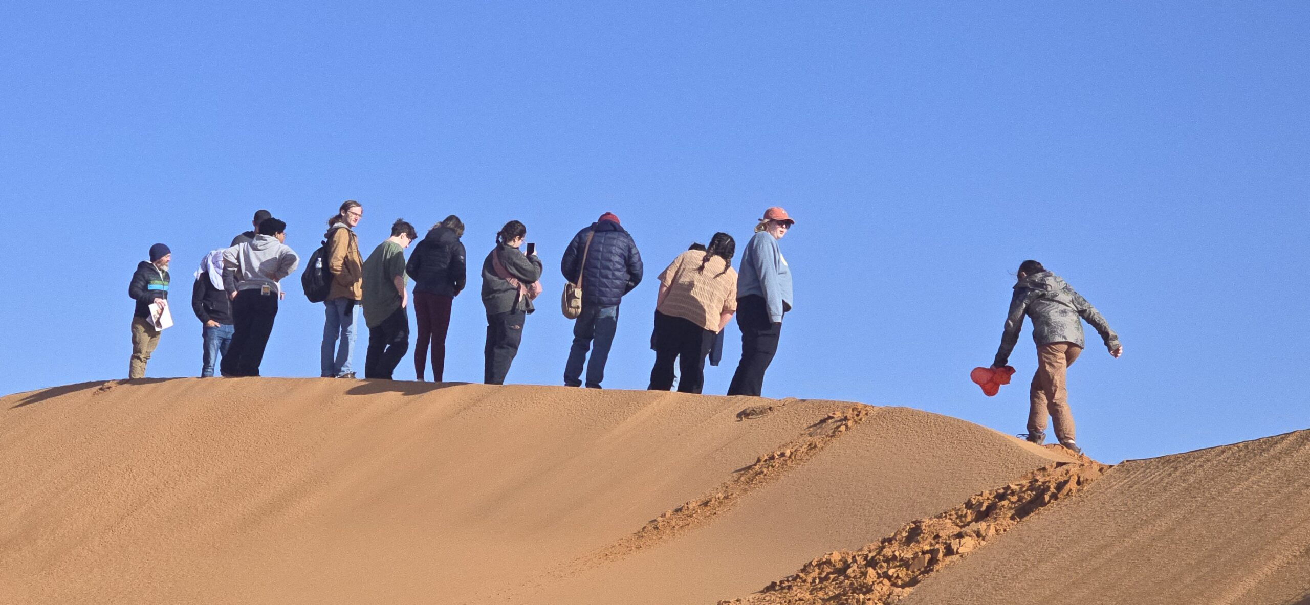 Students riding camels across the Sahara Desert during an educational Morocco tour, experiencing Berber culture and desert landscapes