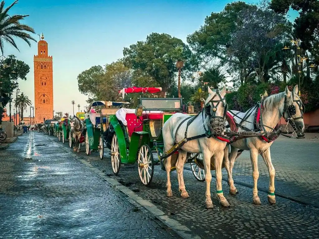 Morocco Travel Expert