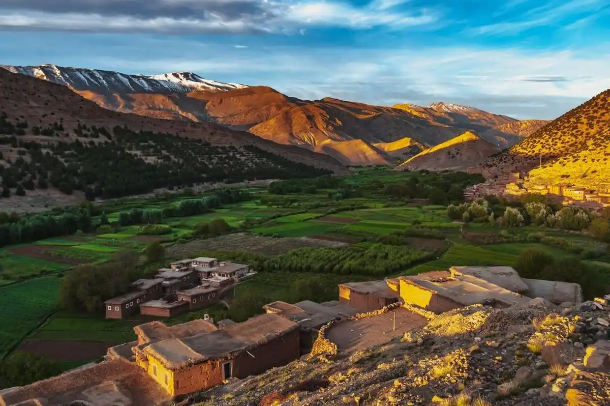 Day Trip From Ouarzazate To Fint Oasis Ait Benhaddou