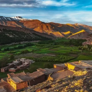 Ouarzazate To Fint Oasis And The Atlas Mountains Trip