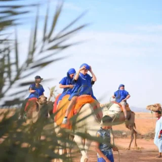Camel ride in Marrakech palm grove (Palmeraie) with palm trees and desert landscape