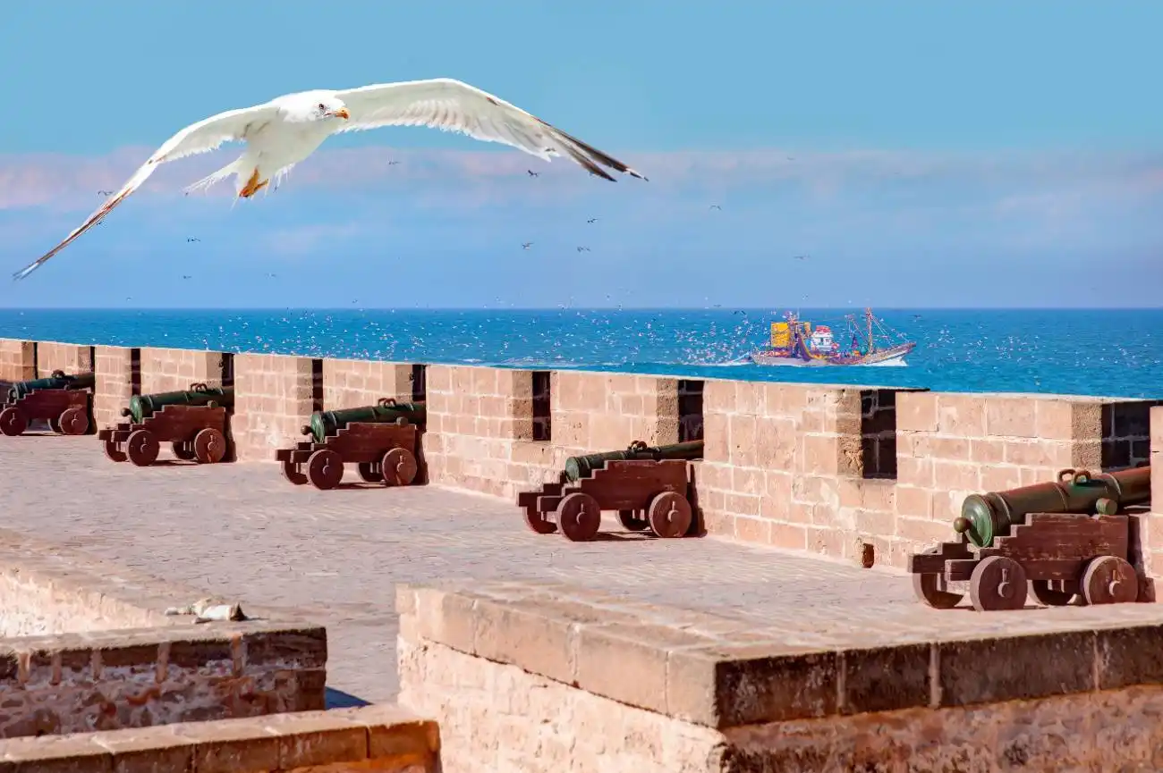 8-day Morocco tour from Agadir featuring Sahara Desert camel trekking, Marrakech medina, Fes imperial city, Ait Ben Haddou, Todra Gorge, Dades Valley, Atlas Mountains, and Moroccan cultural landscapes