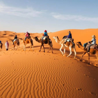 Day Trip From Ouarzazate To Zagora Dunes