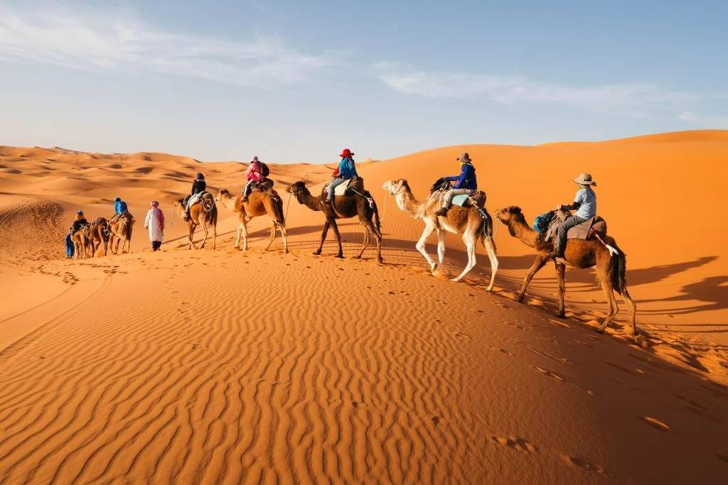 Day Trip From Ouarzazate To Zagora Dunes